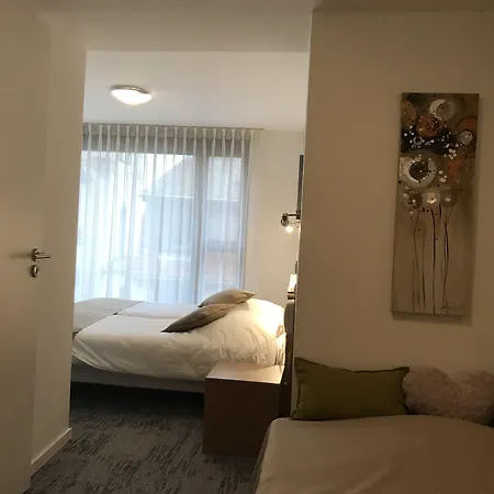 Hotel De L'ill Strasbourg